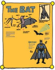 Poster bat