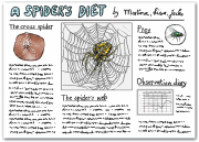 Poster spider